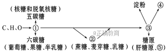www.xiangpi.com