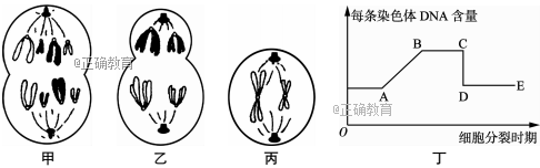 www.xiangpi.com