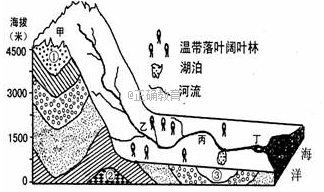 www.xiangpi.com