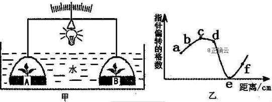www.xiangpi.com