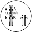 www.xiangpi.com