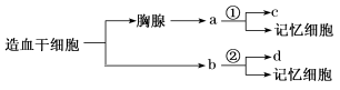 www.xiangpi.com