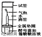 www.xiangpi.com