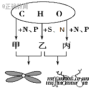 www.xiangpi.com