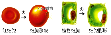 www.xiangpi.com