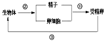 www.xiangpi.com
