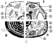 www.xiangpi.com