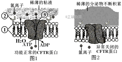 www.xiangpi.com