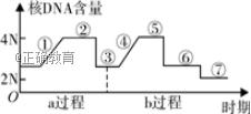 www.xiangpi.com