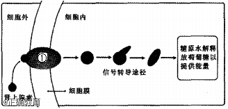 www.xiangpi.com