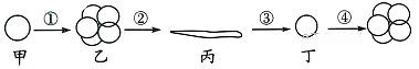 www.xiangpi.com