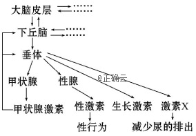 www.xiangpi.com