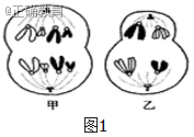 www.xiangpi.com