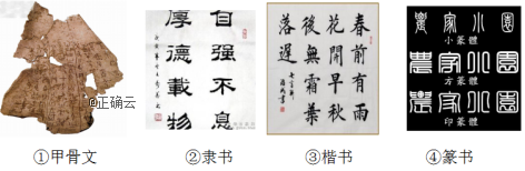www.xiangpi.com