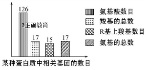 www.xiangpi.com