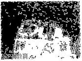 www.xiangpi.com
