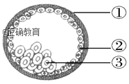 www.xiangpi.com