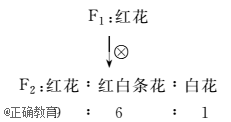 www.xiangpi.com
