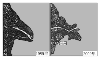 www.xiangpi.com