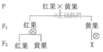 www.xiangpi.com