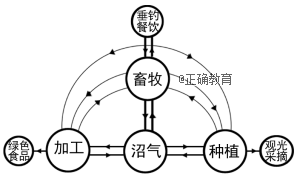 www.xiangpi.com