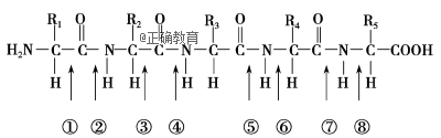 www.xiangpi.com