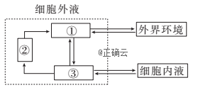 www.xiangpi.com