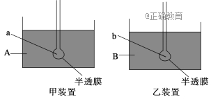 www.xiangpi.com