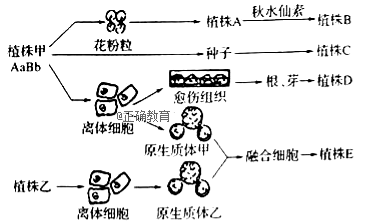 www.xiangpi.com