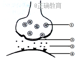 www.xiangpi.com