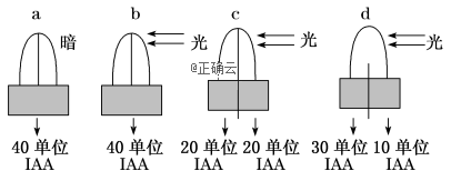 www.xiangpi.com