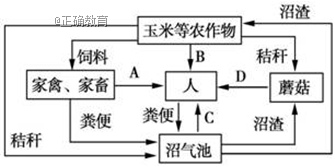 www.xiangpi.com