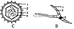 www.xiangpi.com