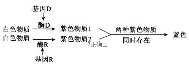 www.xiangpi.com