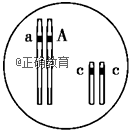 www.xiangpi.com