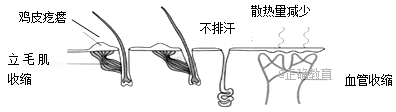 www.xiangpi.com