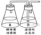 www.xiangpi.com
