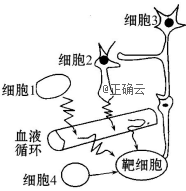 www.xiangpi.com