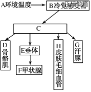 www.xiangpi.com