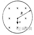 www.xiangpi.com
