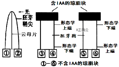 www.xiangpi.com