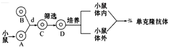 www.xiangpi.com