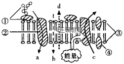 www.xiangpi.com