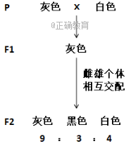 www.xiangpi.com