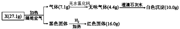 www.xiangpi.com