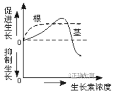 www.xiangpi.com
