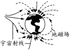 www.xiangpi.com