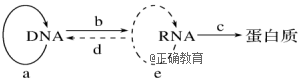 www.xiangpi.com