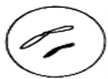 www.xiangpi.com