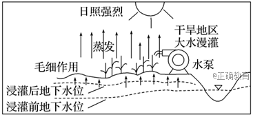 www.xiangpi.com